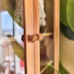 Oak round rattan handle